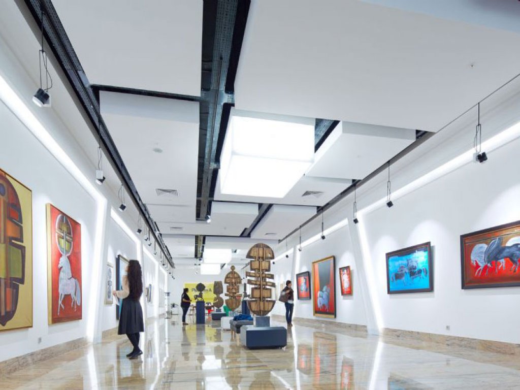 Operasyon Videoları